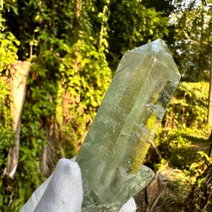 May include: A large, clear, green crystal with a pointed tip. The crystal is held in a white glove.