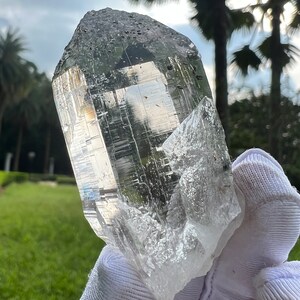 May include: A large, clear quartz crystal with a pointed tip and a rough, textured surface. The crystal is held in a white glove against a green grassy background.