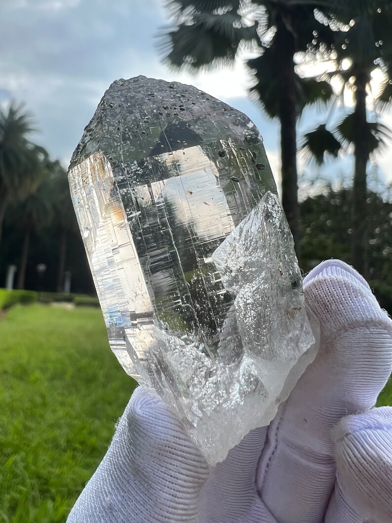 May include: A large, clear quartz crystal with a pointed tip and a rough, textured surface. The crystal is held in a white glove against a green grassy background.