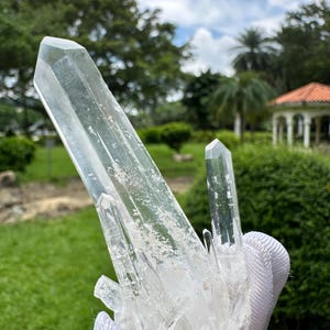 May include: A cluster of clear quartz crystals, held in a white glove, with a natural, faceted appearance. The crystals are translucent, with visible internal structures. The background features green grass, trees, and a cloudy sky.