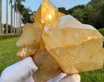 レインボーゴールデンヒーラークォーツクラスター：ヒマラヤ水晶 