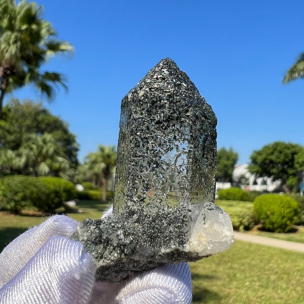 Seltener Himalaya Chlorit Nirvana Quarz aus Nepal, Transmitter Kristalle, Selbstheilung Wurzel, Herz Chakra Kristall und Glückskristall --34g