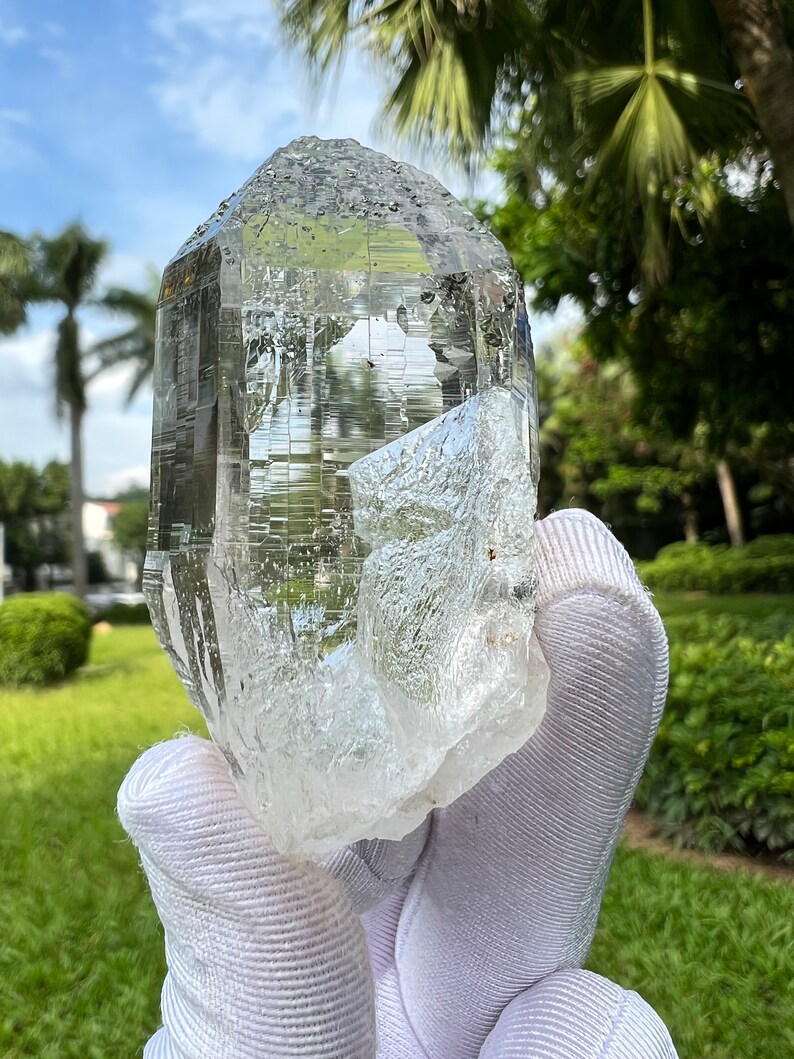May include: A large, clear quartz crystal with a pointed tip and a rough, textured surface. The crystal is held in a white glove against a green grassy background.