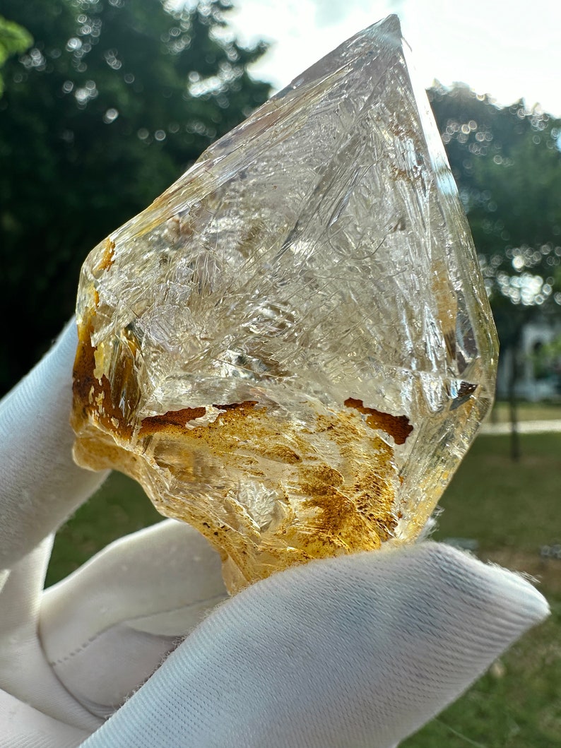 May include: A large, clear quartz crystal with a rough, natural shape. The crystal has a golden brown colour throughout, with a few small, dark brown inclusions. The crystal is being held in a white glove.