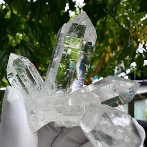 May include: A cluster of clear quartz crystals with multiple points, showcasing a natural, raw aesthetic. The crystals are arranged in a starburst pattern, with the points radiating outwards.