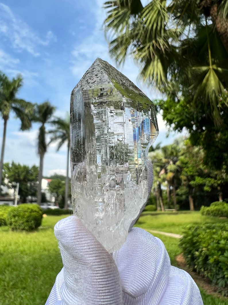 May include: A large, clear quartz crystal with a pointed tip and a rough, textured surface. The crystal is held in a white glove against a backdrop of green grass and palm trees.