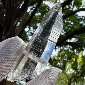 Op de afbeelding: Een heldere kwartskristal met een puntige punt. De kristal wordt vastgehouden in een gehandschoende hand, met een vage groene boomachtergrond. De kristal heeft interne breuken en regenboogachtige brekingen.