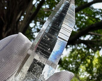 Cristal de Cuarzo Semilla Lemuriana Muzo: Canal de Punta Cincelada, Líneas Akáshicas