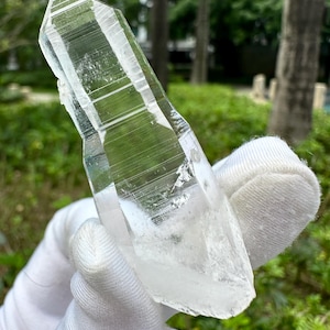 Puede incluir: Un cristal de cuarzo transparente con una punta y estrías internas visibles. El cristal se sostiene en una mano enguantada de blanco, con un fondo verde borroso de árboles y follaje.