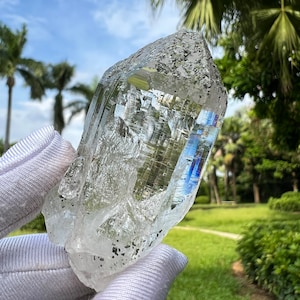 May include: A large, clear quartz crystal with a point, showing inclusions of black mineral. The crystal is being held in a white glove against a background of green grass and palm trees.