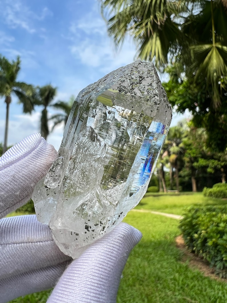 May include: A large, clear quartz crystal with a point, showing inclusions of black mineral. The crystal is being held in a white glove against a background of green grass and palm trees.