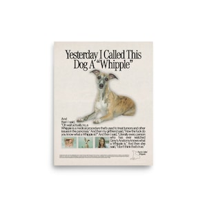 Puede incluir: Un meme humorístico con una foto de un perro con el texto "Ayer llamé a este perro "Whipple"". El texto debajo de la imagen explica que un procedimiento de Whipple es un procedimiento médico que se utiliza para tratar tumores y otros problemas en el páncreas. El meme es un juego de palabras, ya que el nombre del perro es Whipple, y el procedimiento también se llama Whipple.