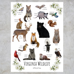 Guía de campo de mamíferos terrestres de Virginia (impresión artística) / Animales de Virginia / Pintura de vida silvestre / Arte mural / Impresión de naturaleza / Póster de vida silvestre (28 x 35 cm)