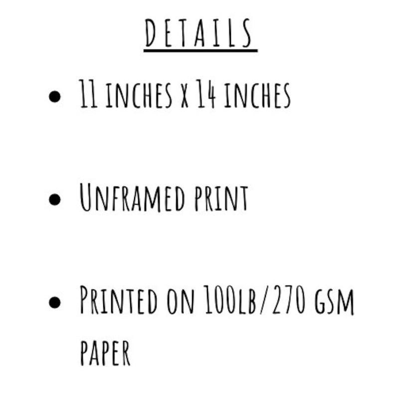 Virginia Land Mammals Field Guide Art Print Animals of Virginia