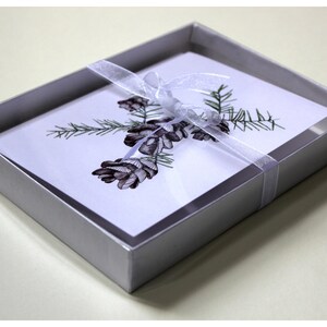 Conifer Cone Greeting Cards