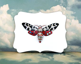 Disco Moth Wall Sculpture | Mounted Mirror Insect | Funky Maximalist Bug Art