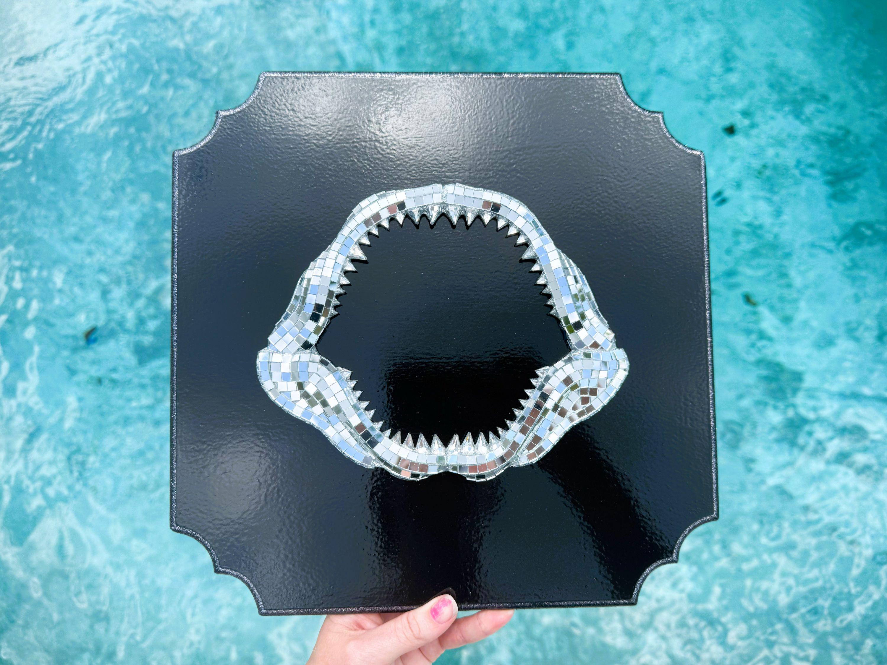 たかや様限定 ディスコシャークジョー | マウントミラートロフィー