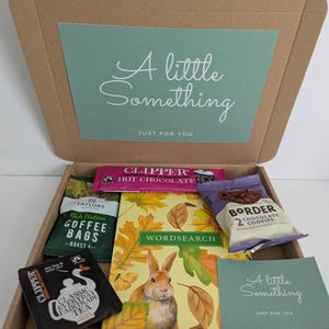 May include: A cardboard gift box containing a wordsearch book with a rabbit and autumn leaves, a packet of Clipper hot chocolate, Taylors of Harrogate coffee bags, a Clipper tea bag, and Border chocolate cookies, with a green insert reading A little Something.
