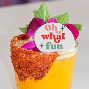 Oh What Fun Merry Christmas Holiday Edible Cocktail Toppers-50 Count Winter Season Cocktail Garnishes