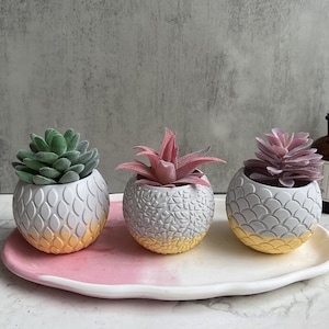 魚の鱗の丸型植木鉢型シリコン型コンクリート型石膏シリコン型エポキシ樹脂植木鉢型DIYとその他の型