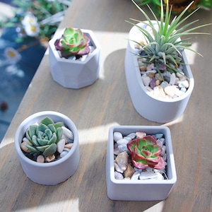 Mini Flower Pot Mold Silicone Mold Concrete Mold Plaster Mold Silicone Mold Jewelry Molds Epoxy Resin Flower Pot Mold DIY and More Molds