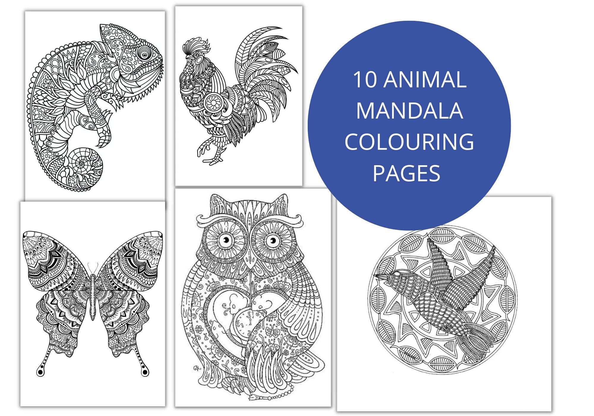 Animal Colouring Mandalas, Mandalas for Adults, Animal Prints to Colour ...