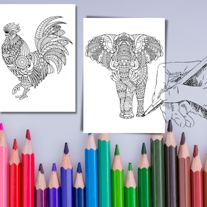 Printable Animal Mandalas For Adults