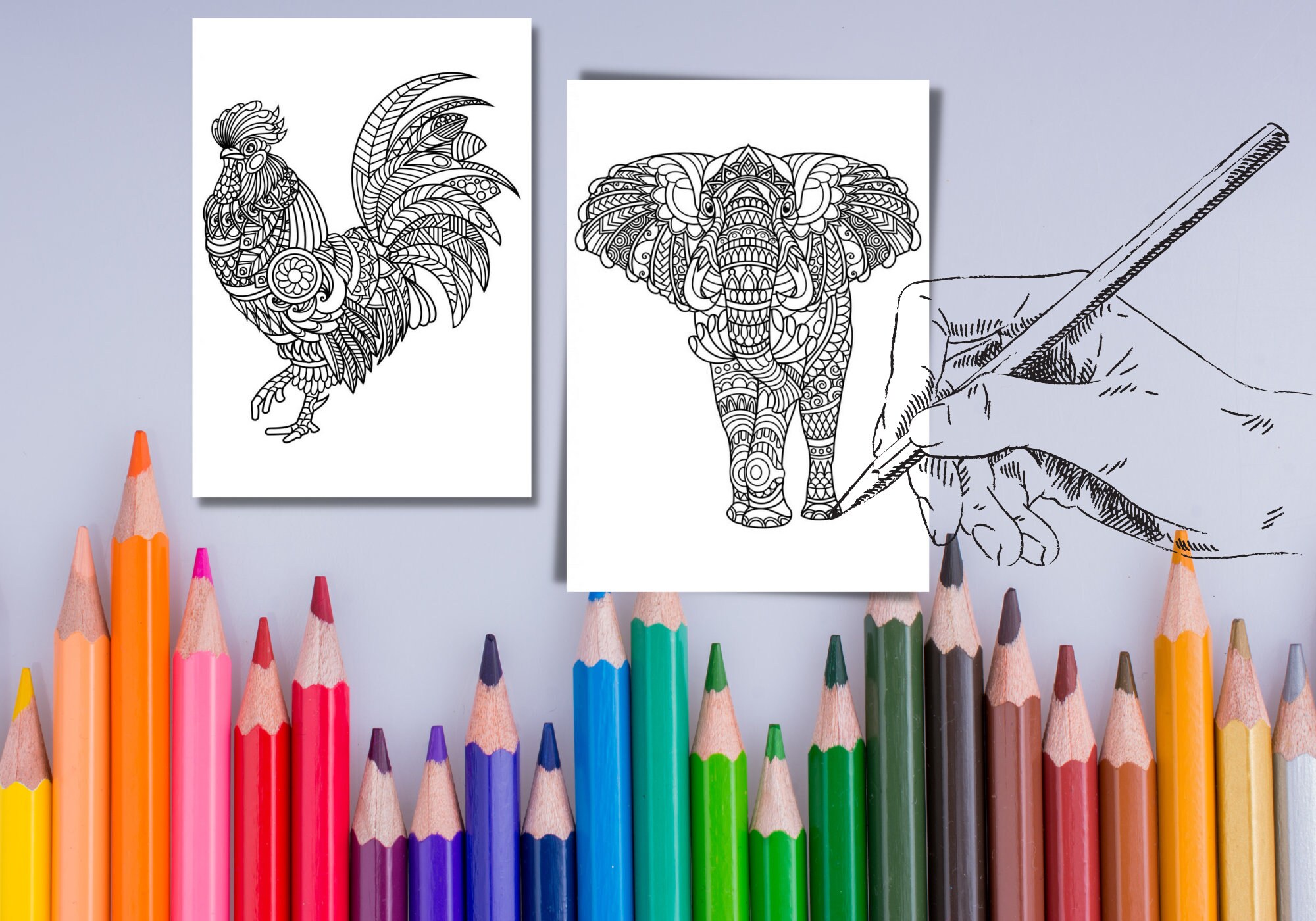 Animal Mandalas