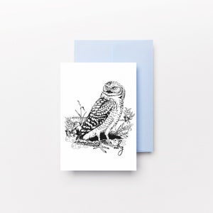 Barn Owl Art, Cute Owl Print, Small Animal Card, Wildlife Cards, Owl Artwork, Spotted Owl, Great Horned Owl, Barred Owl, Greeting Cards image 3