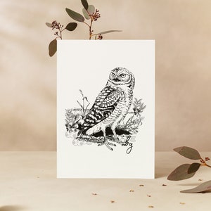 Barn Owl Art, Cute Owl Print, Small Animal Card, Wildlife Cards, Owl Artwork, Spotted Owl, Great Horned Owl, Barred Owl, Greeting Cards image 4