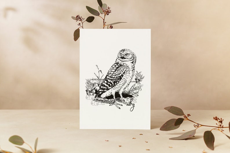 Barn Owl Art, Cute Owl Print, Small Animal Card, Wildlife Cards, Owl Artwork, Spotted Owl, Great Horned Owl, Barred Owl, Greeting Cards image 4