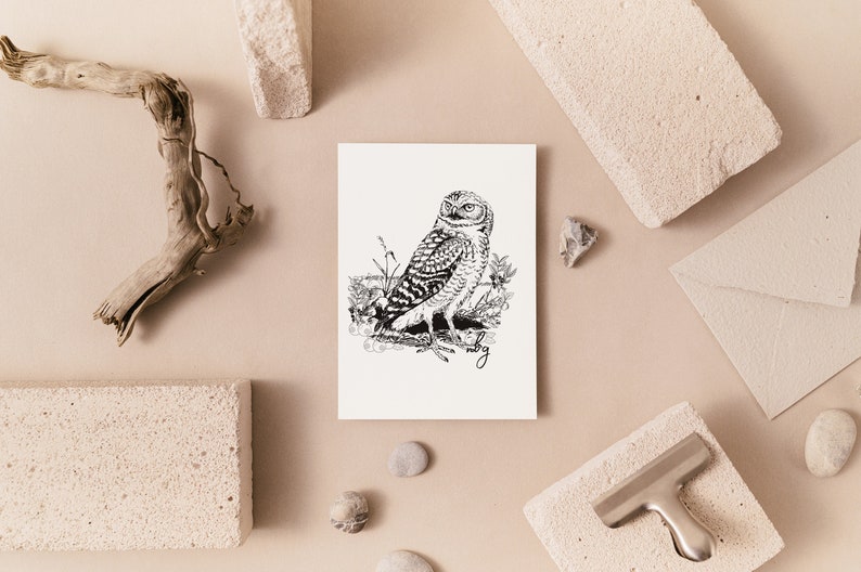 Barn Owl Art, Cute Owl Print, Small Animal Card, Wildlife Cards, Owl Artwork, Spotted Owl, Great Horned Owl, Barred Owl, Greeting Cards image 2