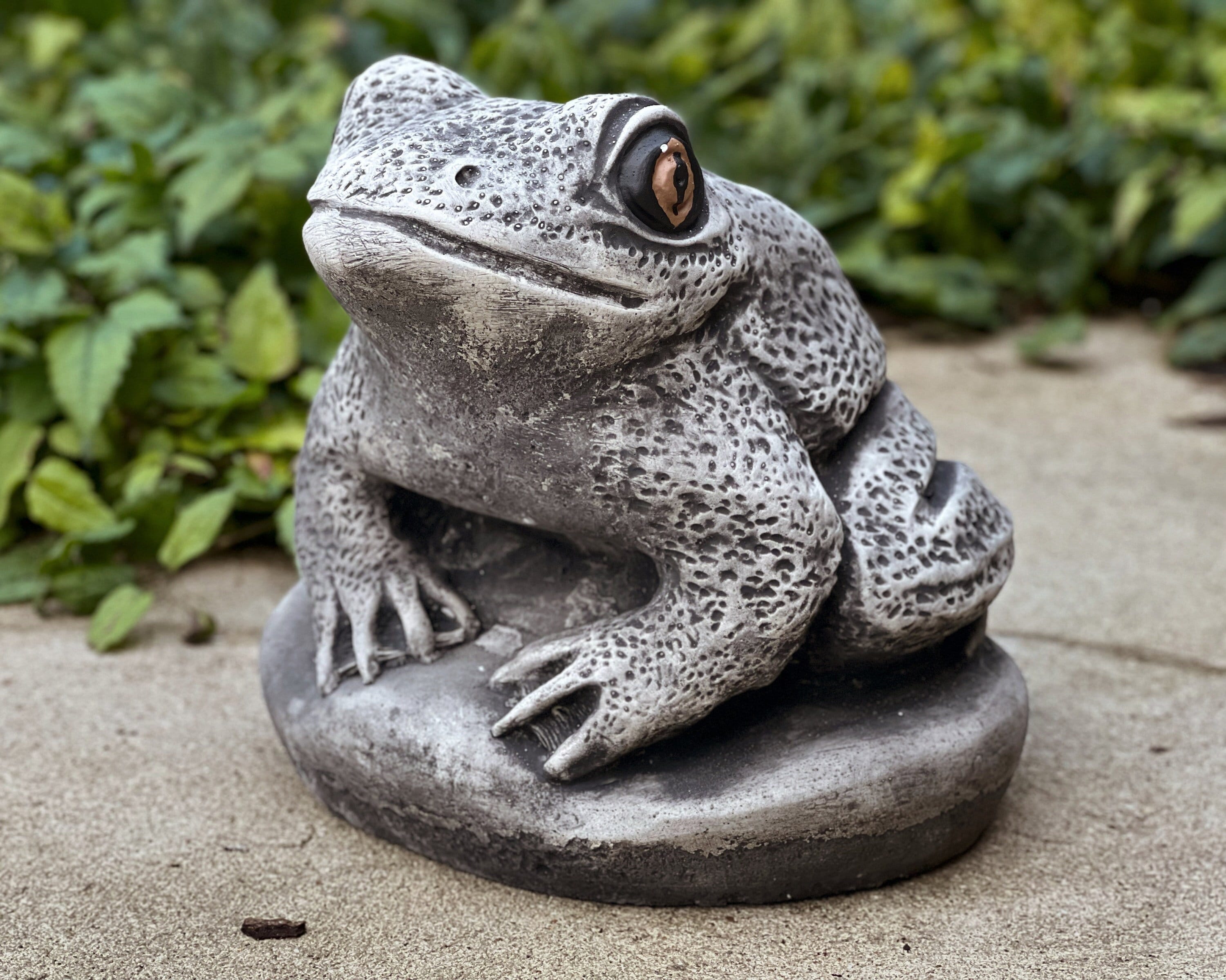 Concrete Frog Miniature Garden Decoration Stone Frog Statue Outdoor or  Indoor Ornament Animal Figurine Cement Toad Sculpture Frog Lover Gift -   Canada