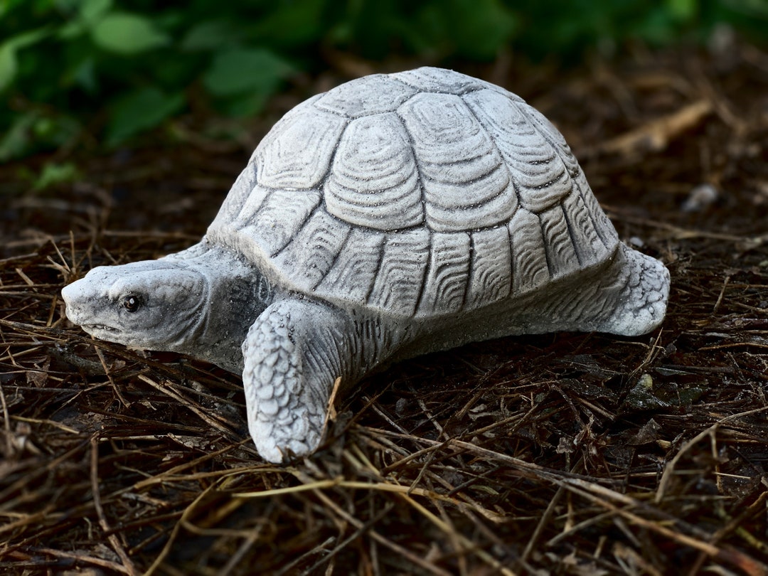 Sea Turtle Ornament Outdoor Turtle Statue Unique Turtle Figure Garden