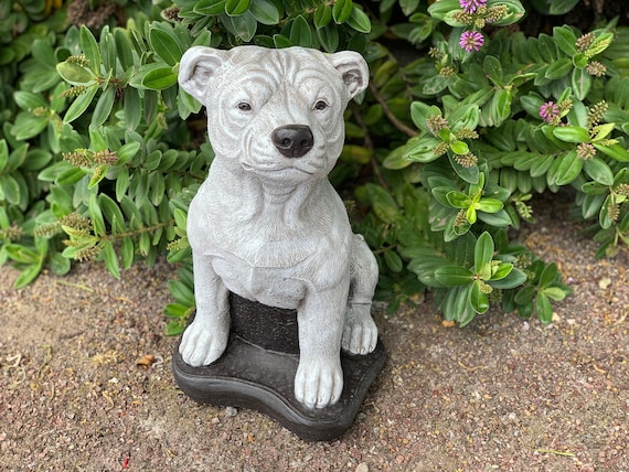 Stenen tuin grote staffy bull terrier hond - Etsy België