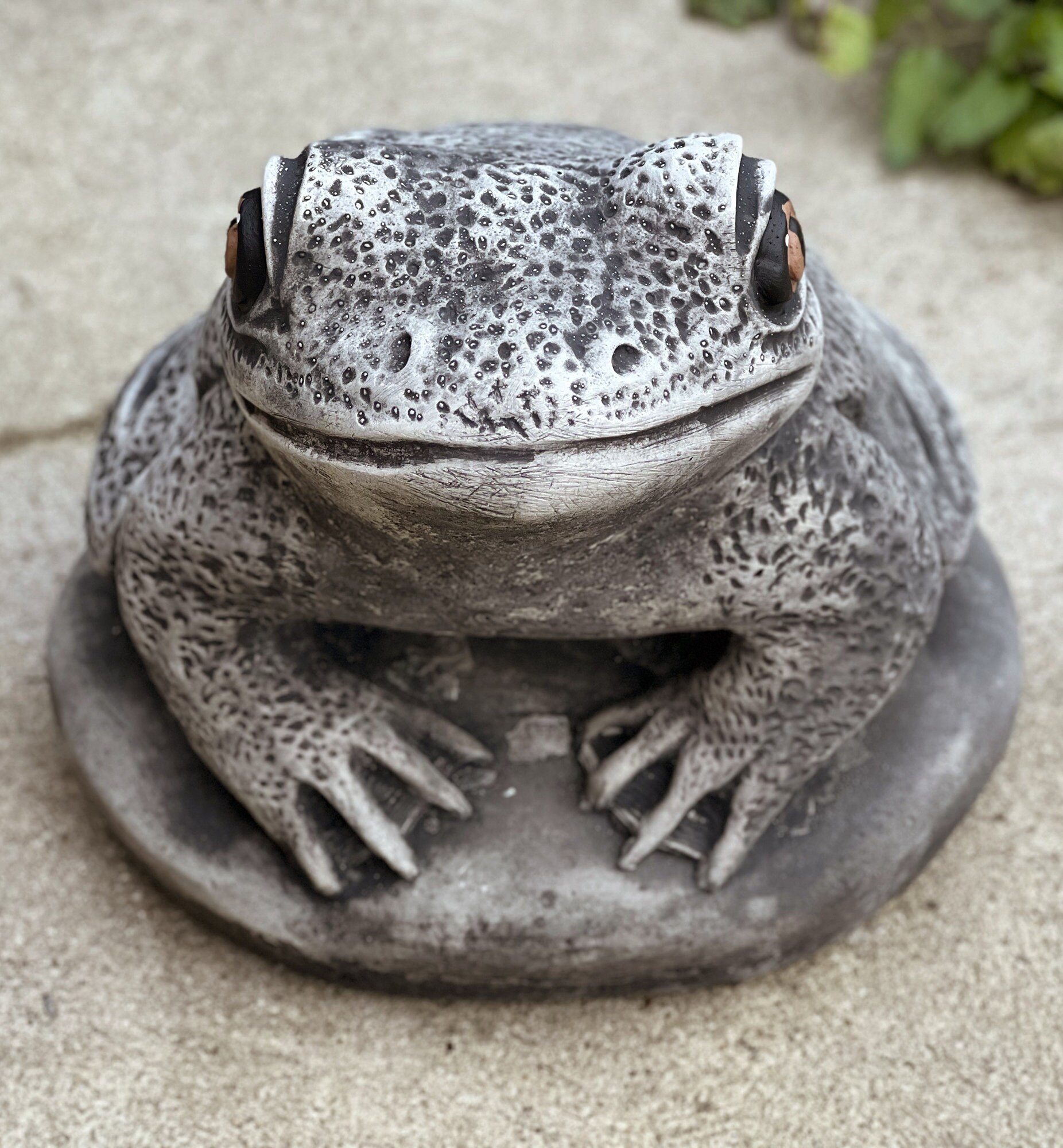 Concrete Frog Miniature Garden Decoration Stone Frog Statue Outdoor or  Indoor Ornament Animal Figurine Cement Toad Sculpture Frog Lover Gift 