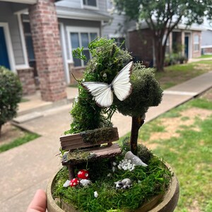 Butterfly diorama