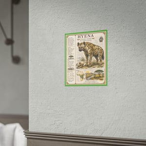 Póster enrollado con ilustración de hiena / Lámina vintage de fauna salvaje, cartel educativo
