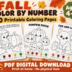 Puede incluir: Un conjunto de 20 páginas para colorear por números de otoño para imprimir, para edades de 4 a 7 años. Las hojas muestran dibujos de líneas en blanco y negro de un erizo, calabazas y un zorro, con secciones numeradas y una clave de color.