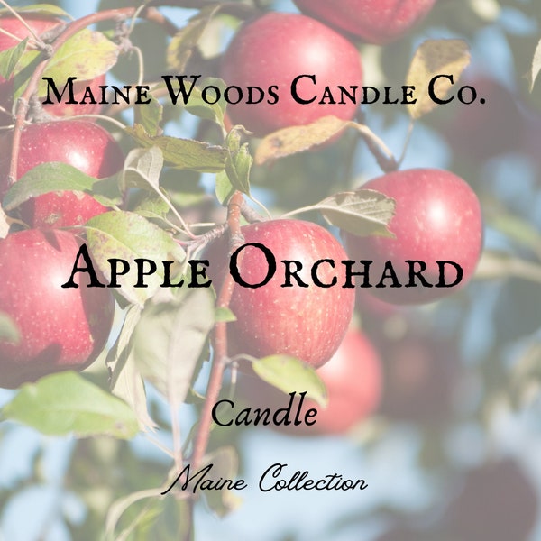 Apple Orchard Candle, Small Batch Artisan Candles, Maine Collection, Crisp Red Apples, Fresh Air, Green leaves, Macintosh Apples