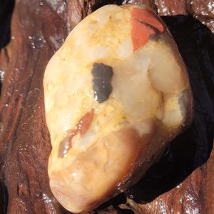 Michigan Pudding Stone, Jasper, Quartz
