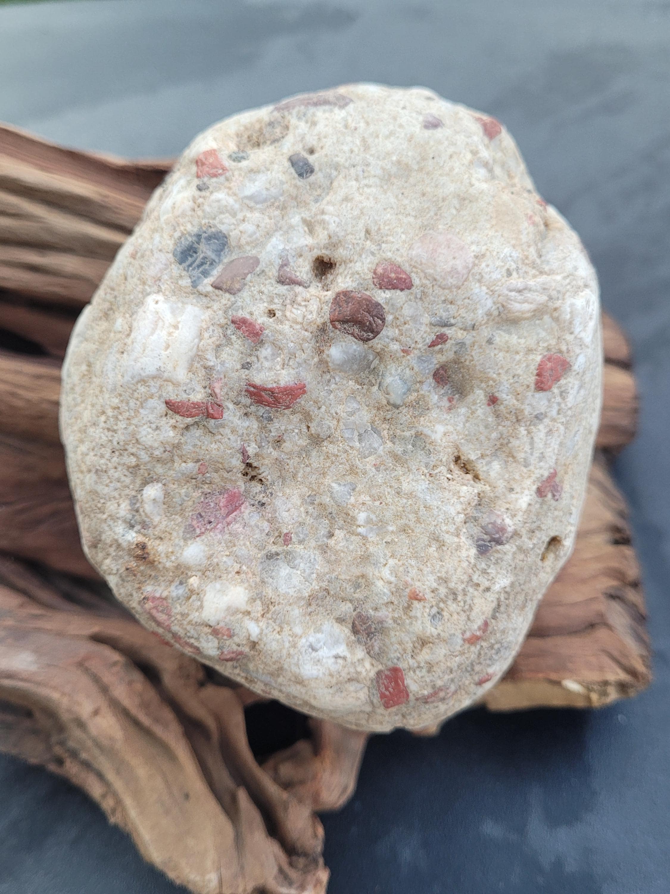 Chowder Stone Michigan Pudding Stone, Jasper, Quartzite, Chert - Etsy