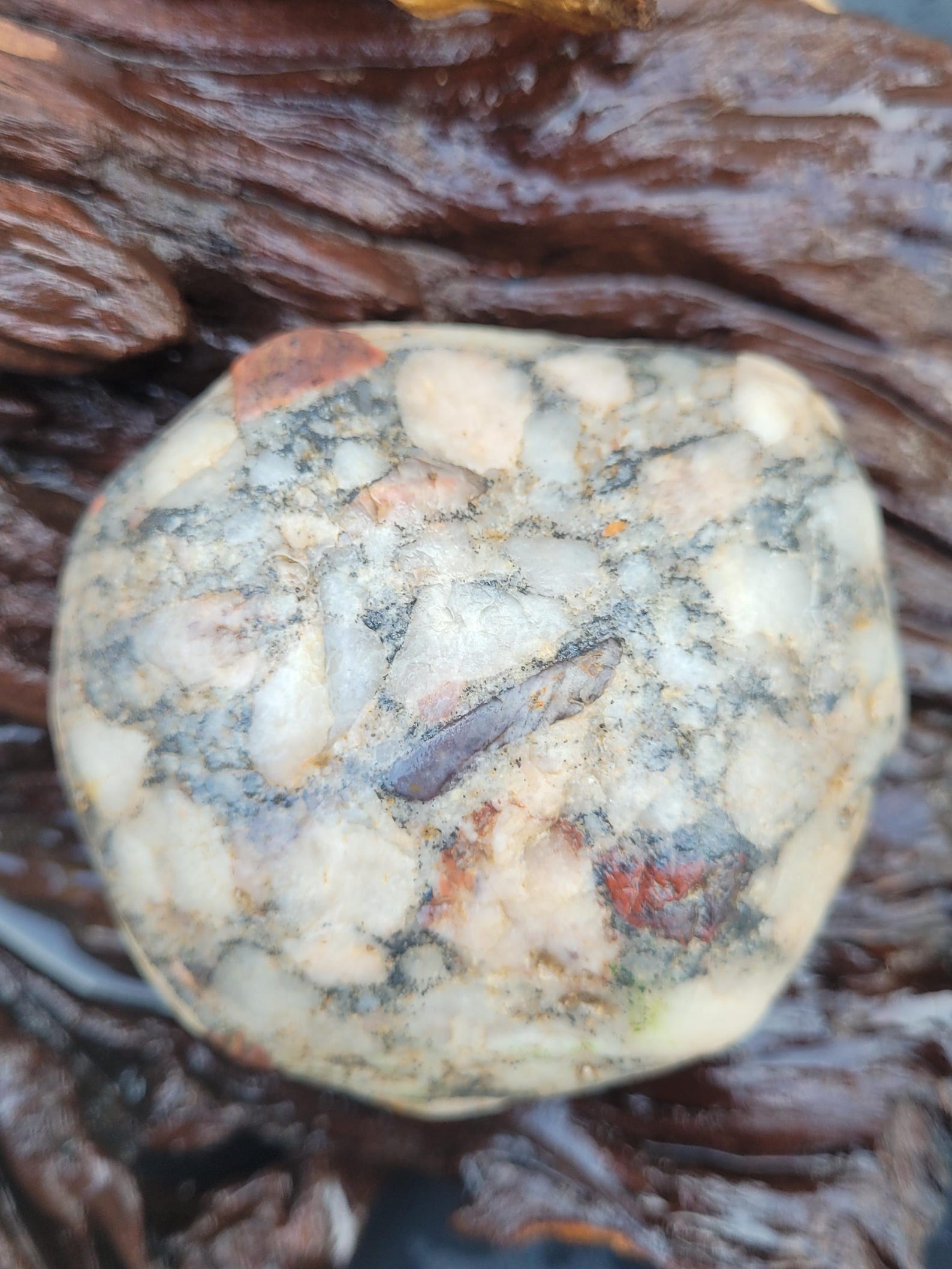 Michigan Pudding Stone, Natural, Jasper, Quartz - Etsy