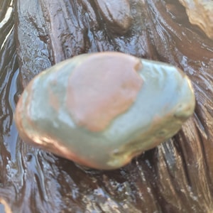 May include: A smooth, oval-shaped stone with a central patch of light brown and a surrounding band of gray-green. The stone is wet, reflecting light, and appears to be resting on a dark, textured surface.
