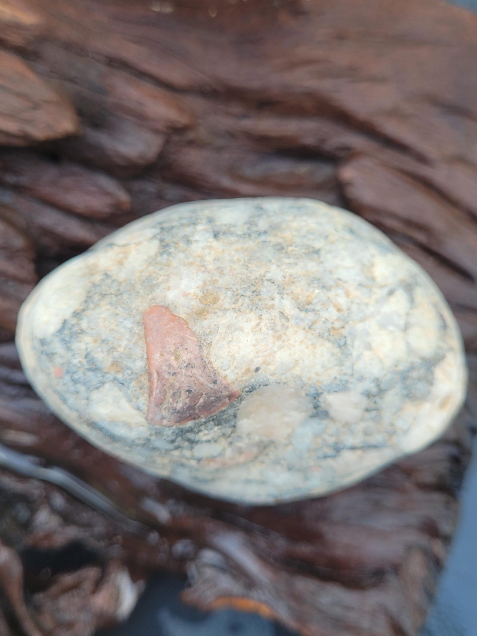 Michigan Pudding Stone, Natural, Jasper, Quartz - Etsy