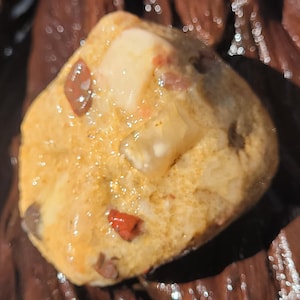 Michigan Pudding Stone