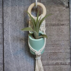 macrame wall hanging planter with pot and airplant