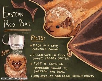 Eastern Red Bat Postcard