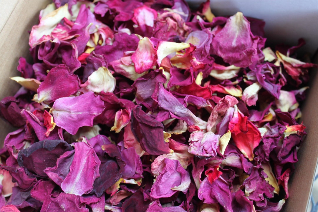 Bloom Premium Roses Branna’s Blooms- Premium Slow Dried Rose Petals - Etsy
