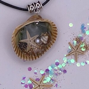 Natural Shell Necklace